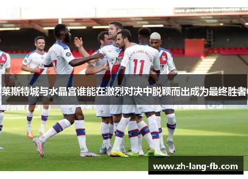 莱斯特城与水晶宫谁能在激烈对决中脱颖而出成为最终胜者