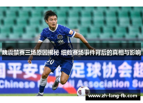 魏震禁赛三场原因揭秘 细数赛场事件背后的真相与影响