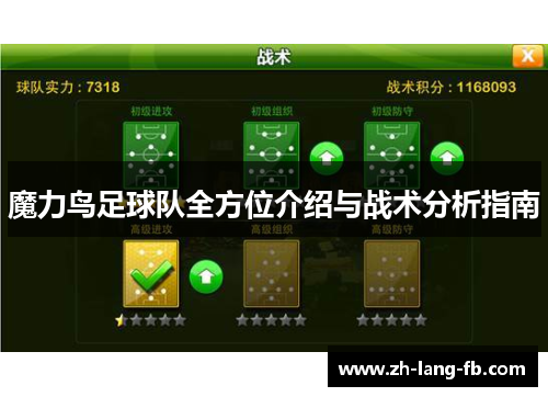 魔力鸟足球队全方位介绍与战术分析指南