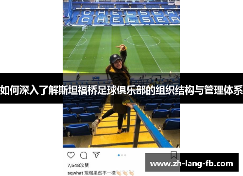 如何深入了解斯坦福桥足球俱乐部的组织结构与管理体系