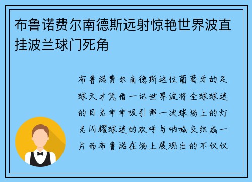 布鲁诺费尔南德斯远射惊艳世界波直挂波兰球门死角