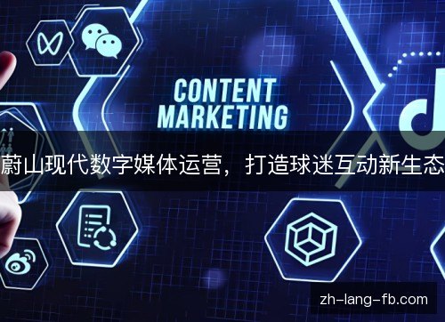 蔚山现代数字媒体运营,打造球迷互动新生态 蔚山现代数字媒体运营,打造球迷互动新生态